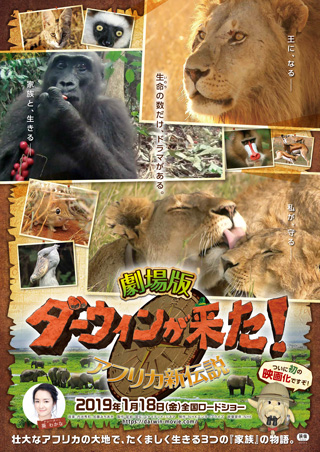 劇場版 ダーウィンが来た！ アフリカ新伝説